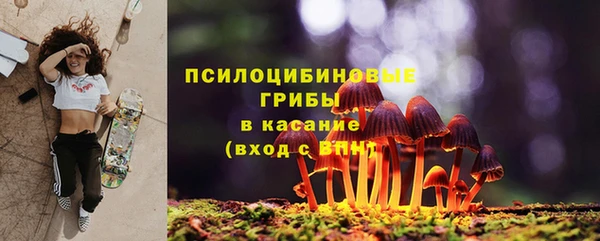 винт Сатка