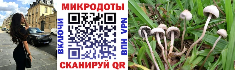 площадка наркотические препараты  где найти наркотики  Костомукша  Галлюциногенные грибы GOLDEN TEACHER 